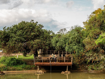 Africamps Addo, River, Nature, Waters, Tree, Plant, Wood