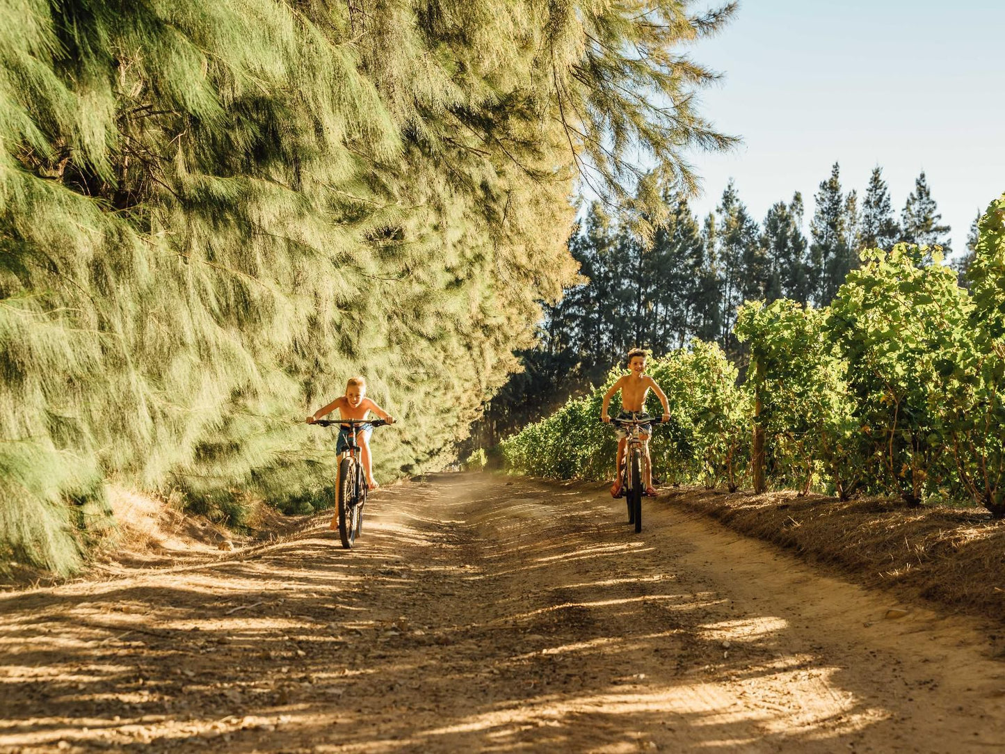 Africamps At Doolhof, Bicycle, Vehicle, Cycling, Sport, Mountain Bike, Funsport, Person