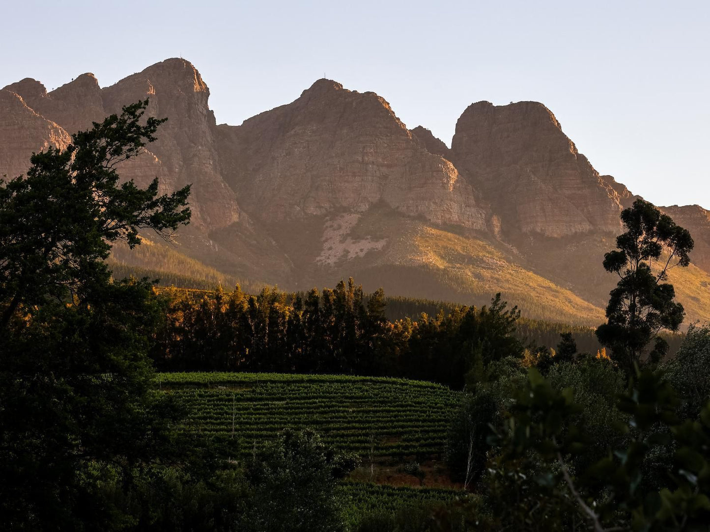 Africamps At Doolhof, Nature