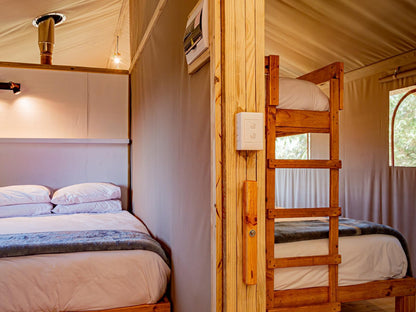 Africamps At Ingwe The Crags Western Cape South Africa Tent, Architecture, Bedroom