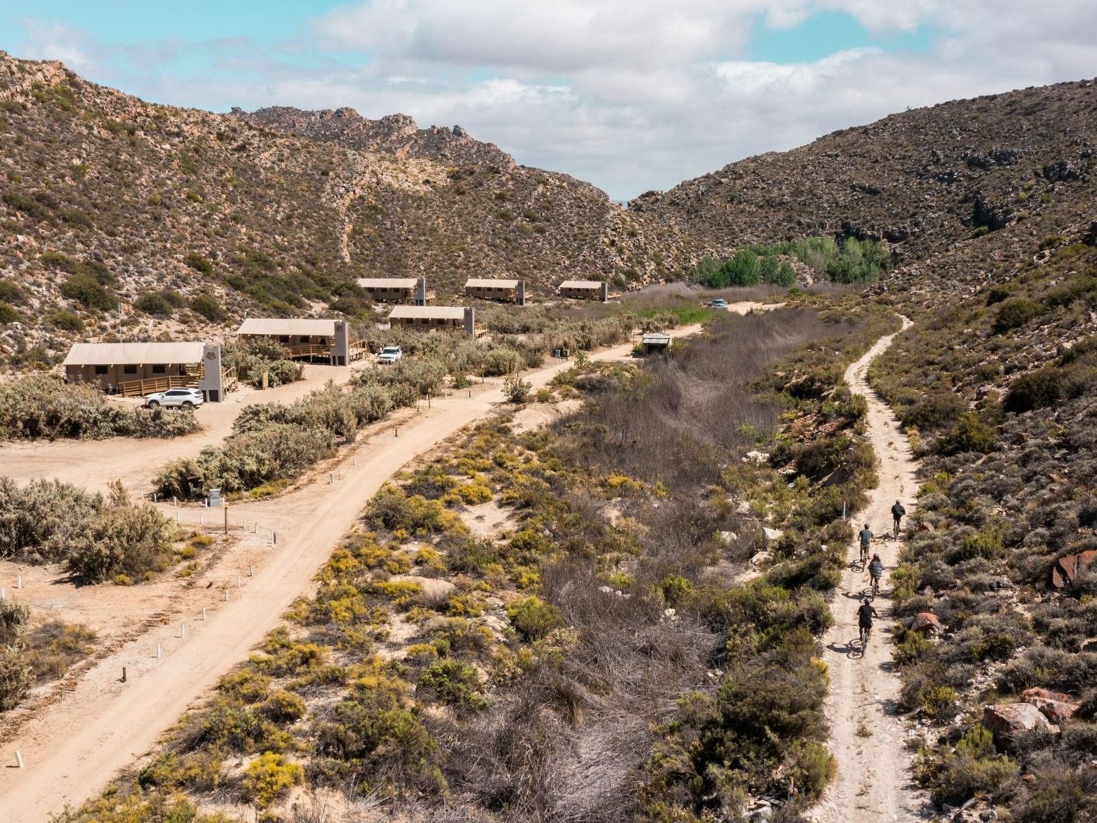 Africamps At Karoo 1 De Doorns Western Cape South Africa Cactus, Plant, Nature, Desert, Sand