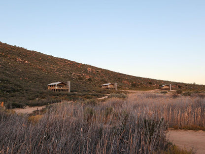 Africamps At Karoo 1 De Doorns Western Cape South Africa Desert, Nature, Sand