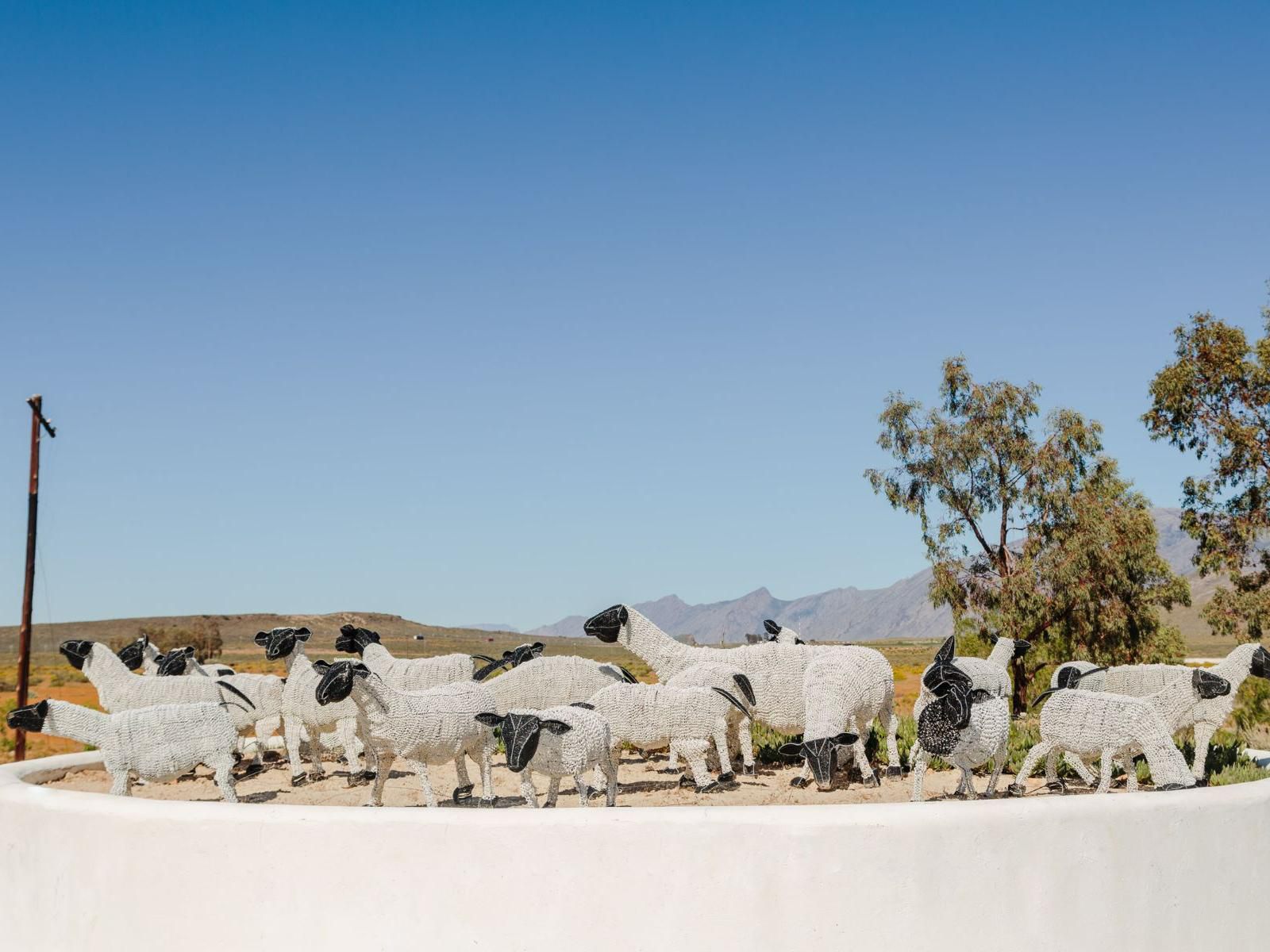 Africamps At Karoo 1 De Doorns Western Cape South Africa Desert, Nature, Sand