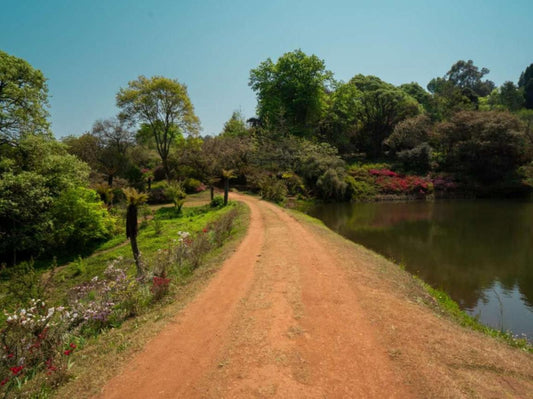 Africamps At Magoebaskloof Haenertsburg Limpopo Province South Africa Complementary Colors, River, Nature, Waters