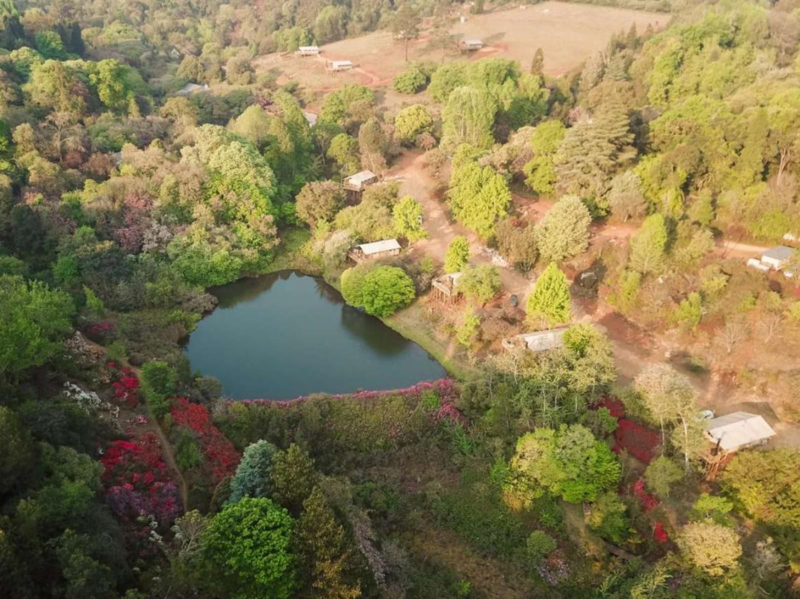 Africamps At Magoebaskloof Haenertsburg Limpopo Province South Africa Aerial Photography