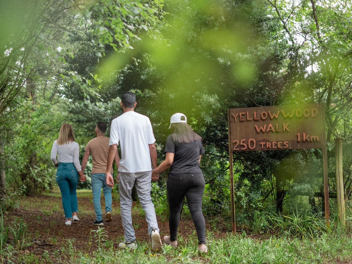 Africamps Champagne Valley, Forest, Nature, Plant, Tree, Wood, Sign, Person