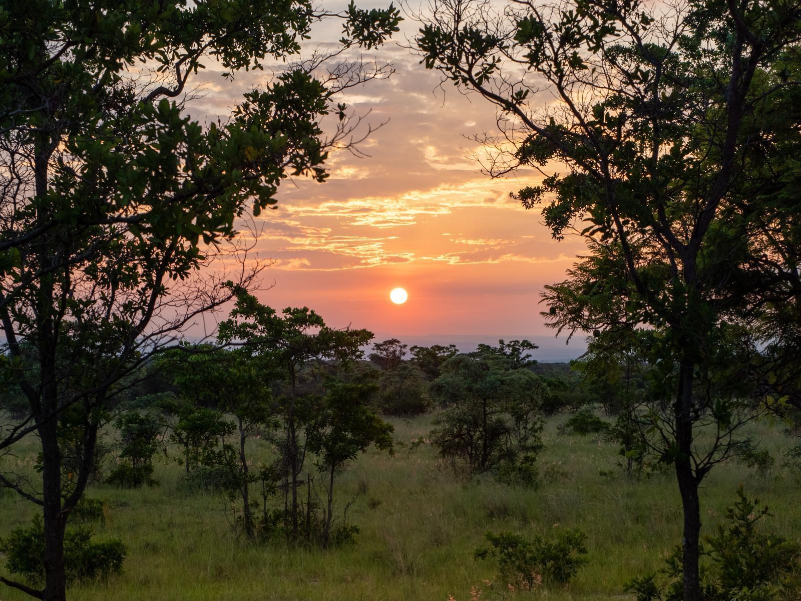 Africamps Waterberg, Sky, Nature, Sunset