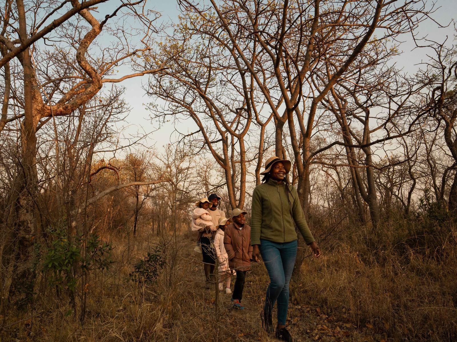 Africamps Waterberg, Face, Person, One Face, Forest, Nature, Plant, Tree, Wood, Frontal Face