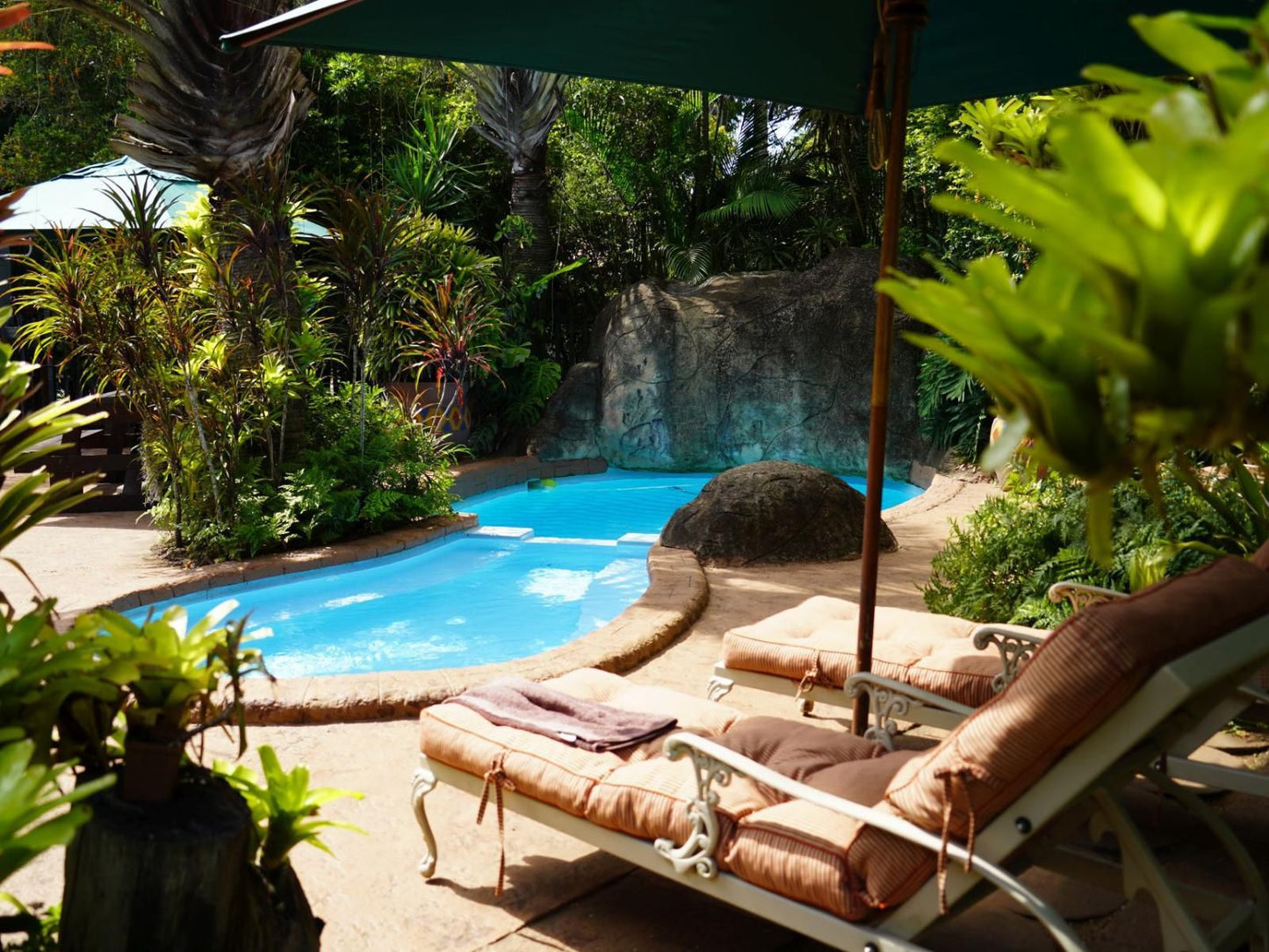 African Ambience, Palm Tree, Plant, Nature, Wood, Garden, Swimming Pool