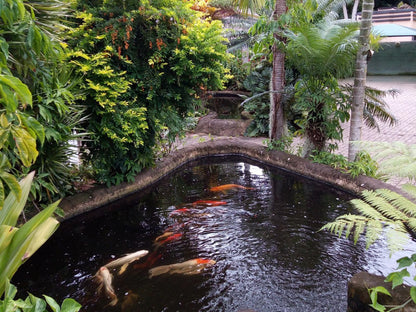 African Ambience, Garden, Nature, Plant