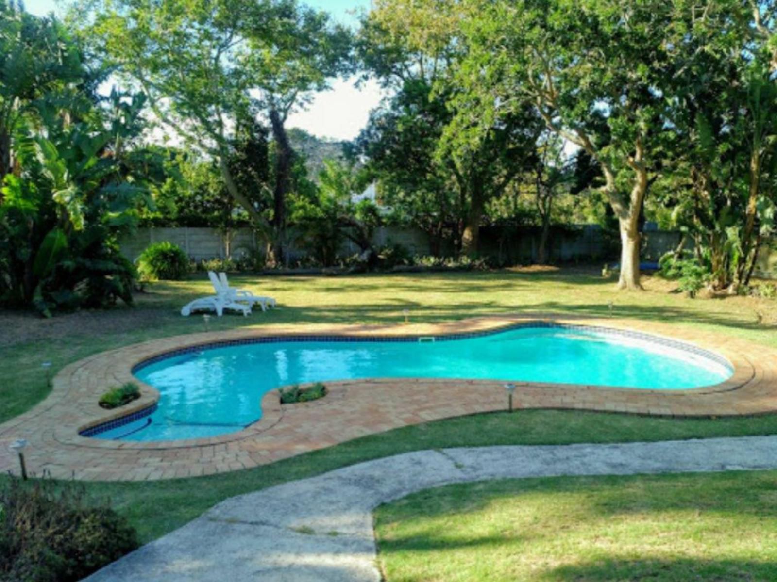 African Aquila Guest Lodge Walmer Port Elizabeth Eastern Cape South Africa Garden, Nature, Plant, Swimming Pool