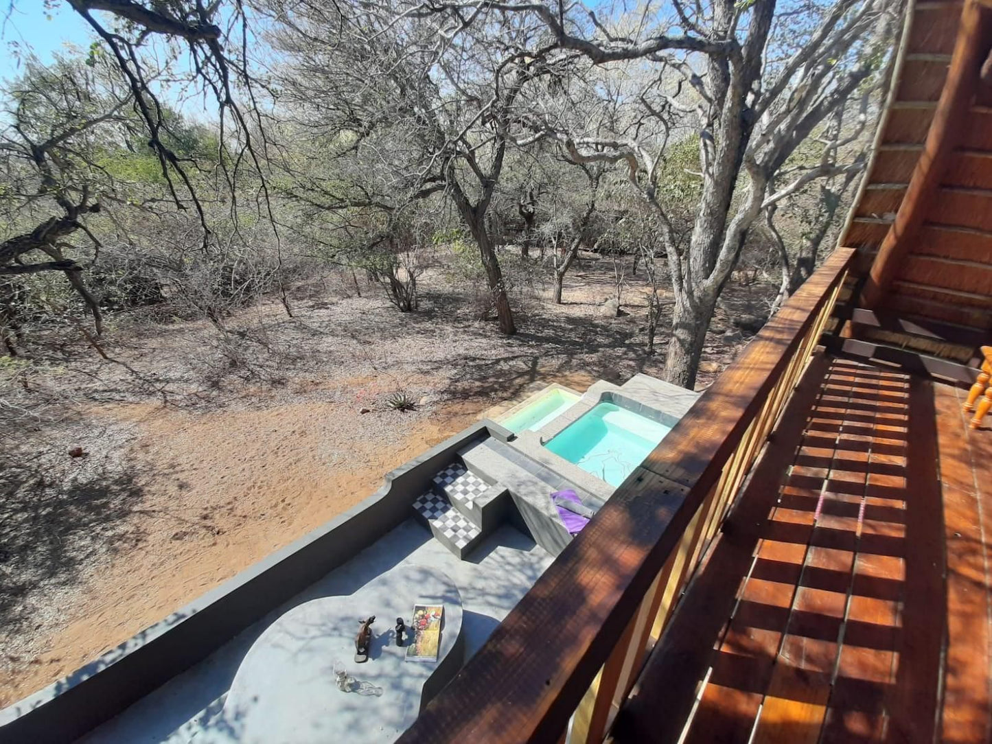 African Bush Escape Marloth Park Mpumalanga South Africa 