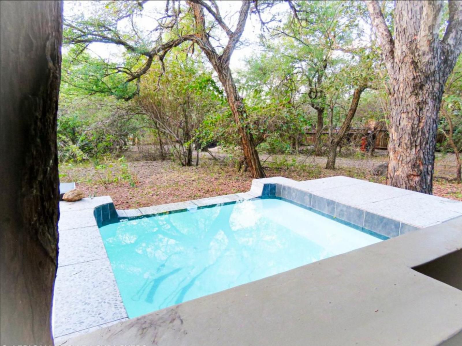 African Bush Escape Marloth Park Mpumalanga South Africa Complementary Colors, Garden, Nature, Plant, Swimming Pool