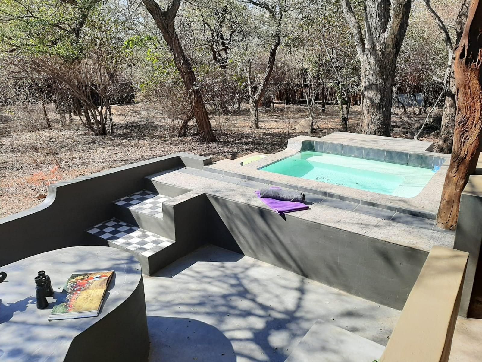 African Bush Escape Marloth Park Mpumalanga South Africa Swimming Pool