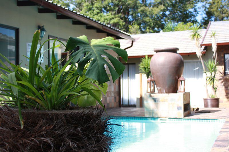 African Dreams Lodge Kempton Park Johannesburg Gauteng South Africa Garden, Nature, Plant, Swimming Pool