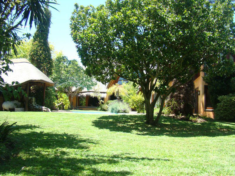 African Nest Guest Suite Constantia Cape Town Western Cape South Africa Palm Tree, Plant, Nature, Wood, Garden