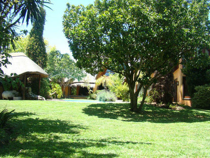 African Nest Guest Suite Constantia Cape Town Western Cape South Africa Palm Tree, Plant, Nature, Wood, Garden