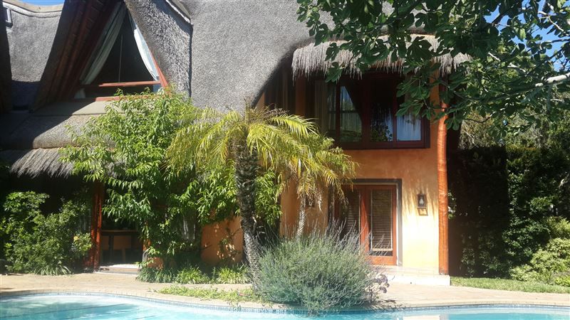 African Nest Guest Suite Constantia Cape Town Western Cape South Africa Building, Architecture, House, Palm Tree, Plant, Nature, Wood, Swimming Pool