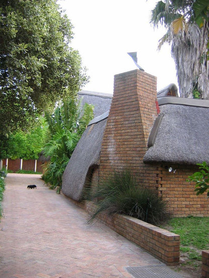 African Nest Guest Suite Constantia Cape Town Western Cape South Africa House, Building, Architecture, Garden, Nature, Plant