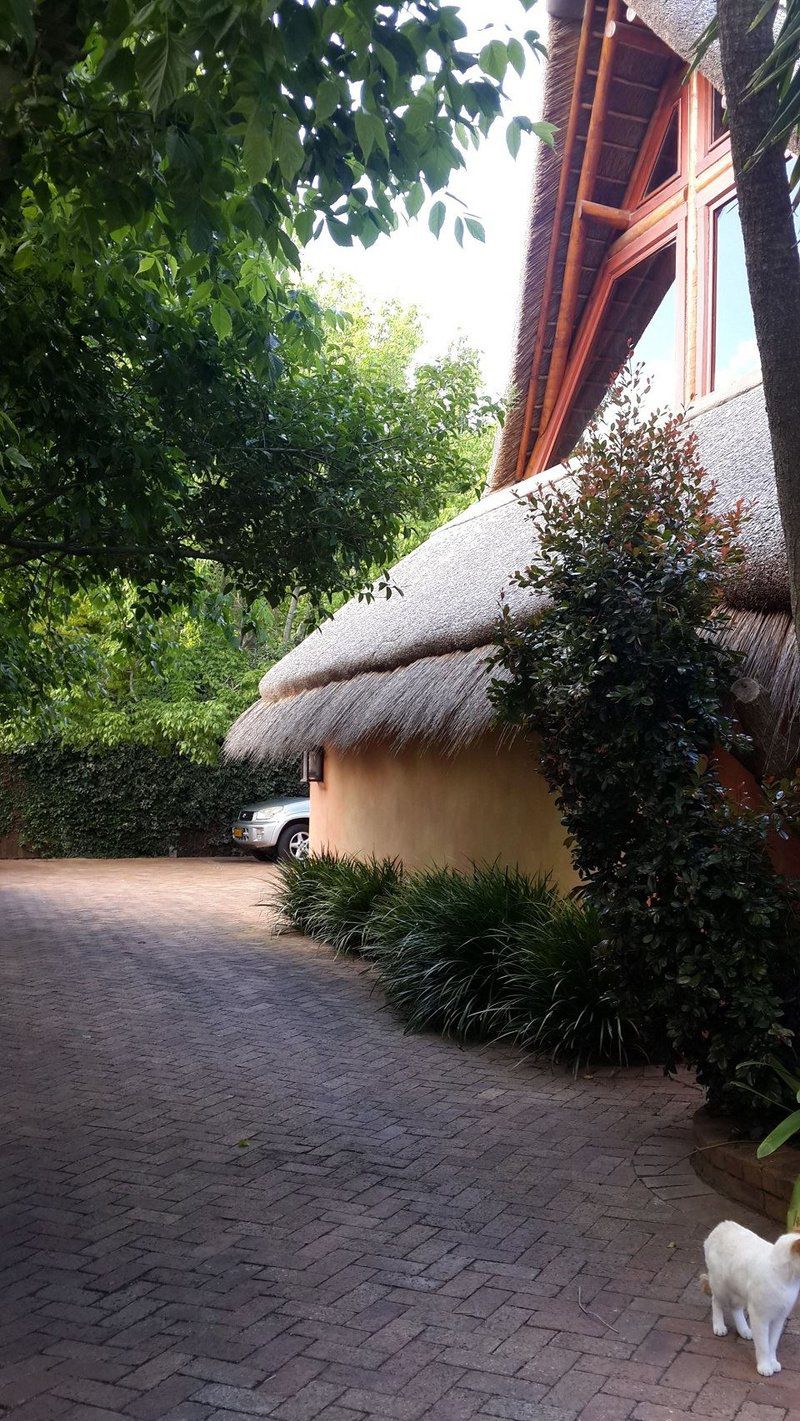 African Nest Guest Suite Constantia Cape Town Western Cape South Africa 