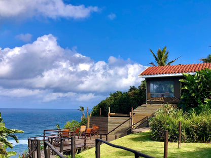 African Peninsula Guest House & Restaurant, Beach, Nature, Sand, Palm Tree, Plant, Wood