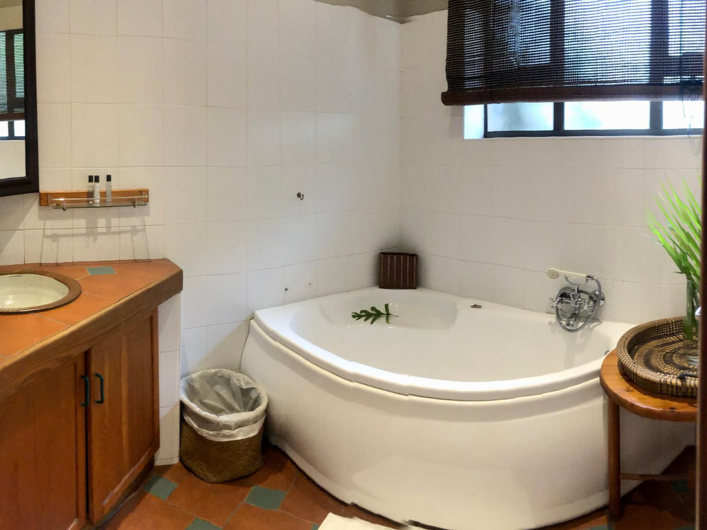 African Peninsula Guest House & Restaurant, Coral Suite 14, Bathroom