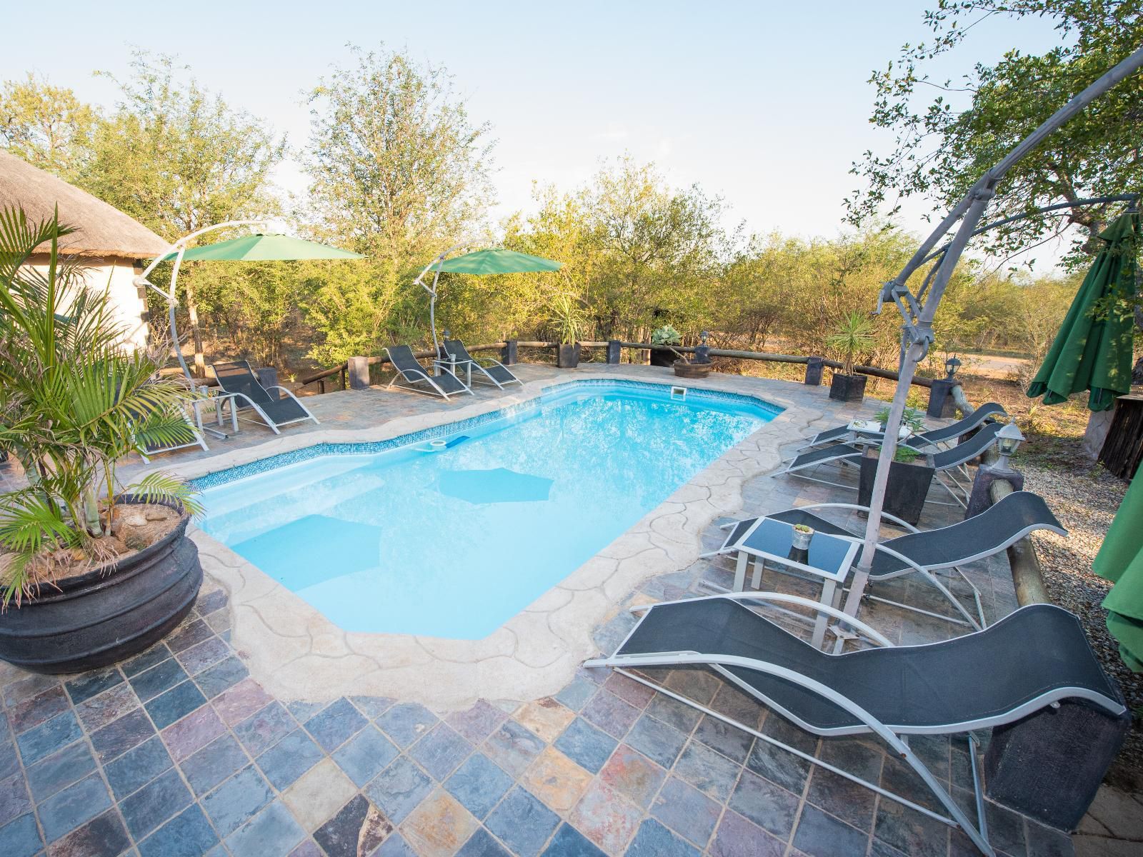 African Rock Lodge, Swimming Pool