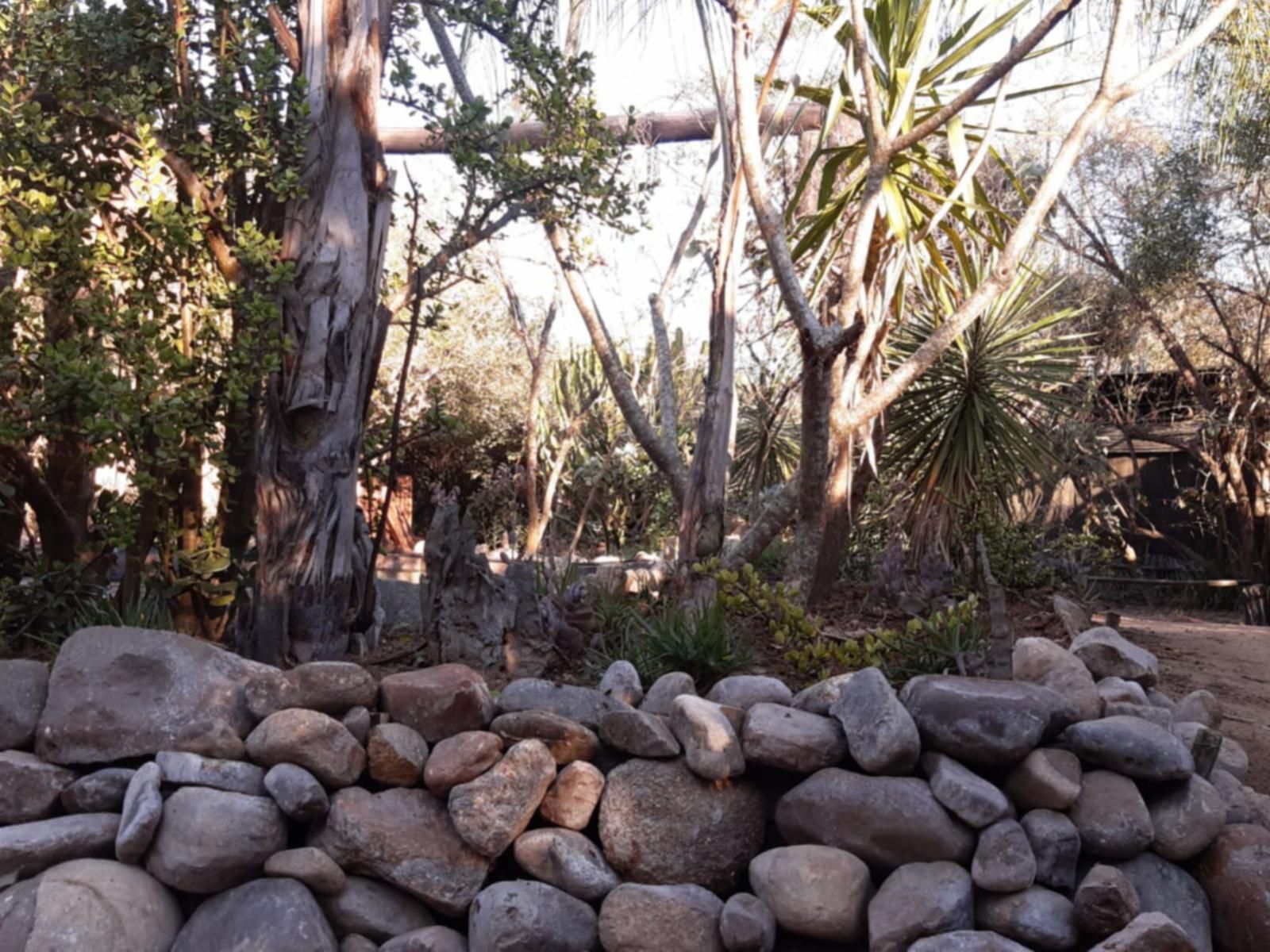 African Sky Bush Camp Amanda Limpopo Province South Africa Plant, Nature, Garden