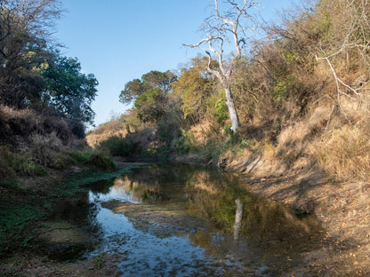 African Sky Bush Camp Amanda Limpopo Province South Africa Complementary Colors, River, Nature, Waters, Tree, Plant, Wood