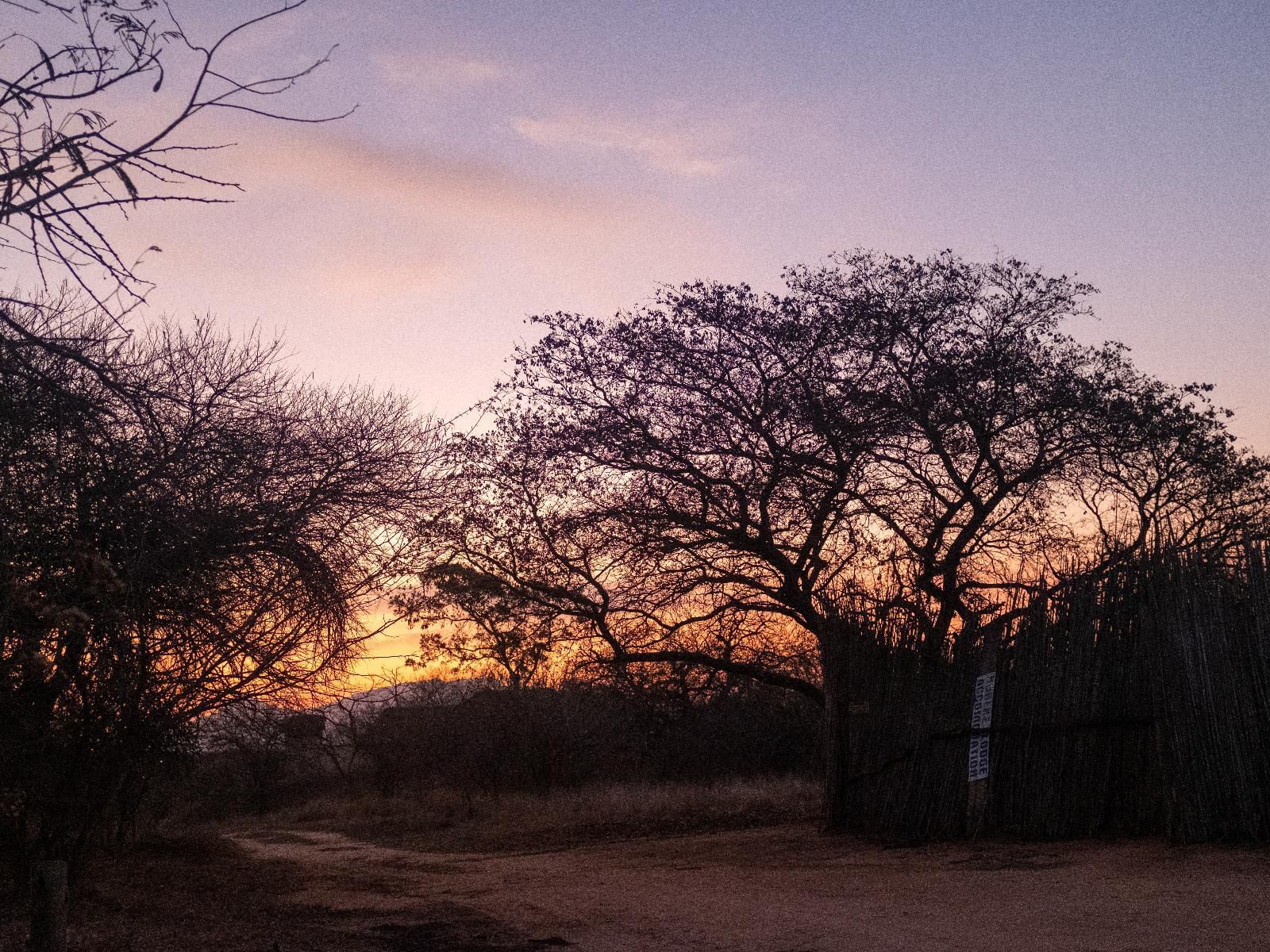 African Sky Bush Camp Amanda Limpopo Province South Africa Framing, Nature, Sunset, Sky