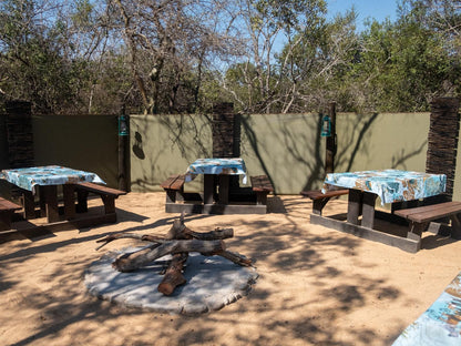 African Sky Bush Camp Amanda Limpopo Province South Africa Reptile, Animal, Tent, Architecture, Ball Game, Sport