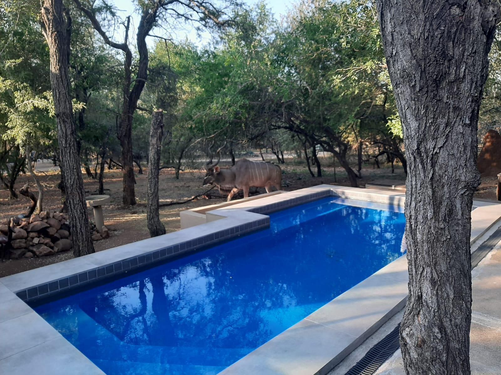 African Sky Villas, Swimming Pool