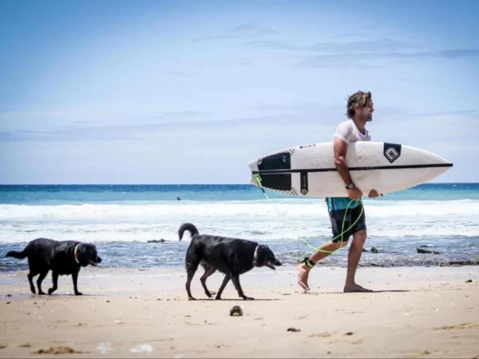 African Ubuntu Backpackers, Face, Person, One Face, Beach, Nature, Sand, Surfboard, Water Sport, Sport, Surfing, Funsport, Waters, Profile Face