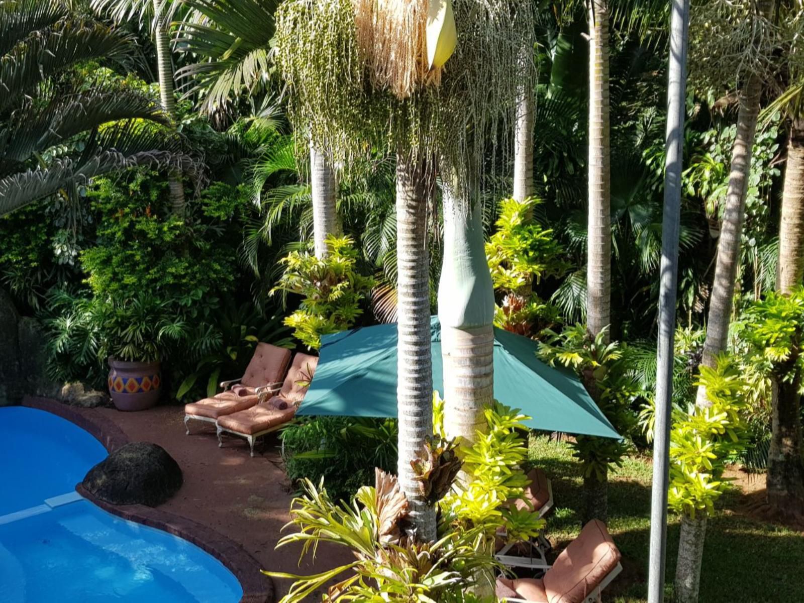 African Ambience Guesthouse St Lucia Kwazulu Natal South Africa Palm Tree, Plant, Nature, Wood, Garden, Swimming Pool