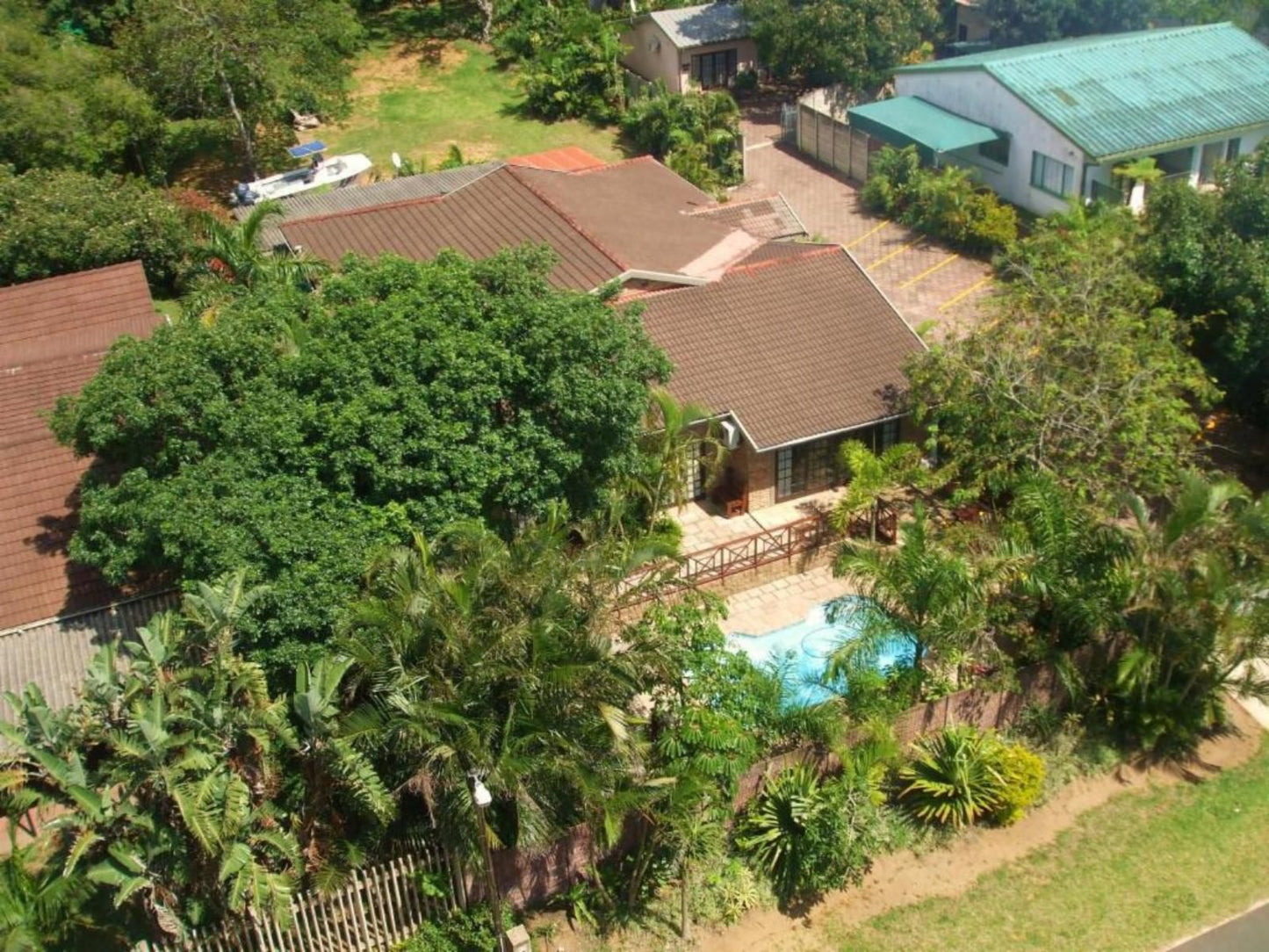 African Dreamz Guest House St Lucia Kwazulu Natal South Africa House, Building, Architecture, Palm Tree, Plant, Nature, Wood, Swimming Pool