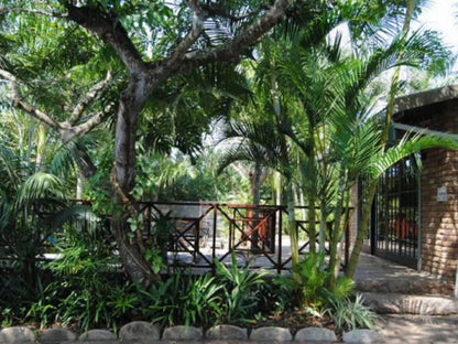 African Dreamz Guest House St Lucia Kwazulu Natal South Africa Palm Tree, Plant, Nature, Wood, Garden