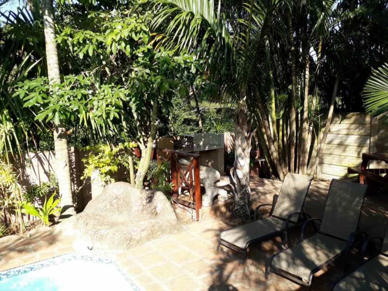 African Dreamz Guest House St Lucia Kwazulu Natal South Africa Palm Tree, Plant, Nature, Wood