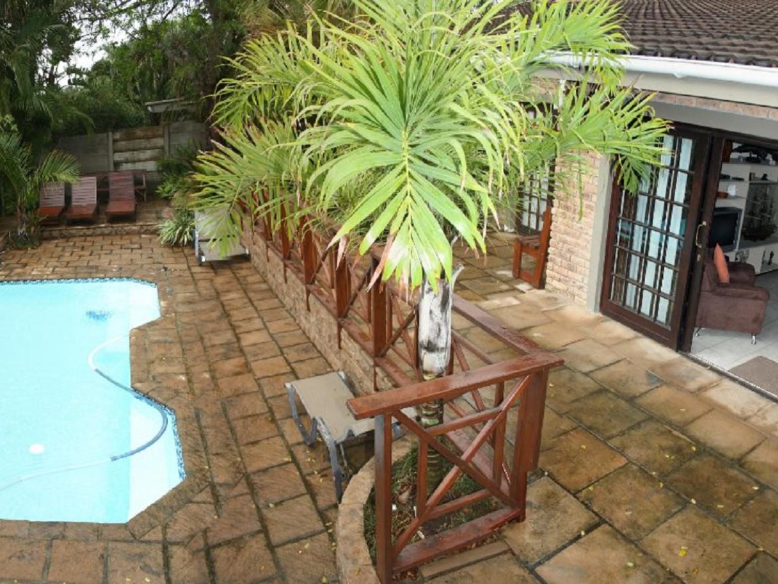 African Dreamz Guest House St Lucia Kwazulu Natal South Africa Palm Tree, Plant, Nature, Wood, Garden