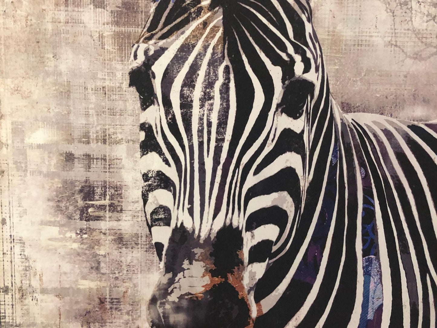 African Dreamz Guest House St Lucia Kwazulu Natal South Africa Zebra, Mammal, Animal, Herbivore, Painting, Art