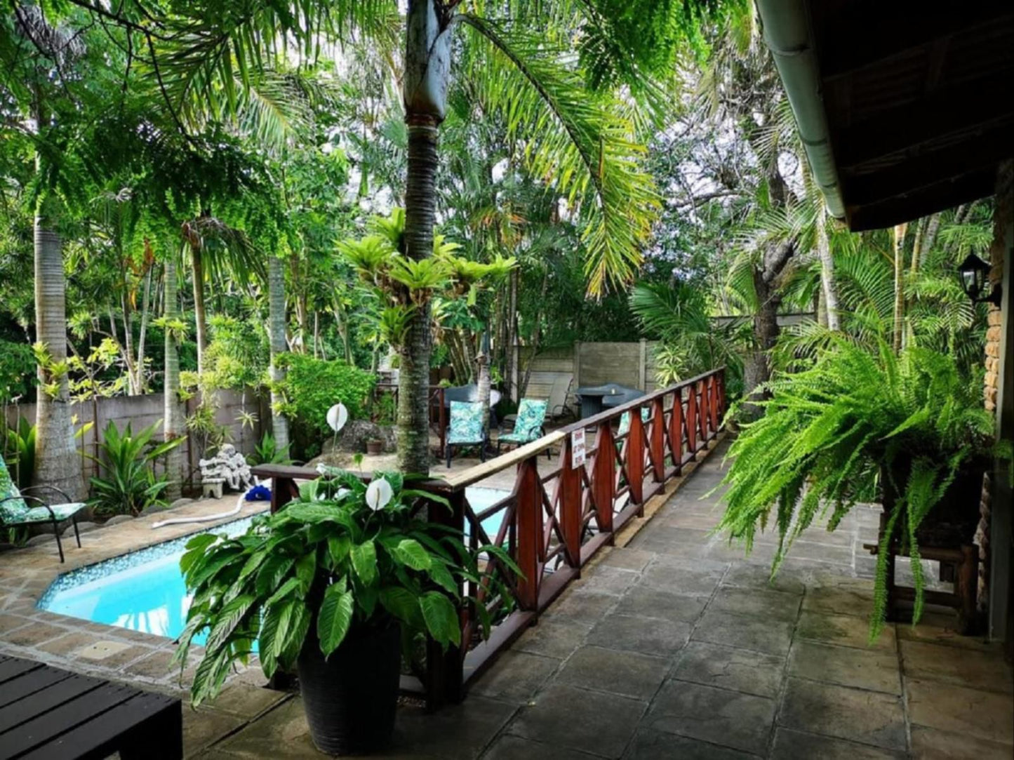 African Dreamz Guest House St Lucia Kwazulu Natal South Africa Palm Tree, Plant, Nature, Wood, Garden, Swimming Pool