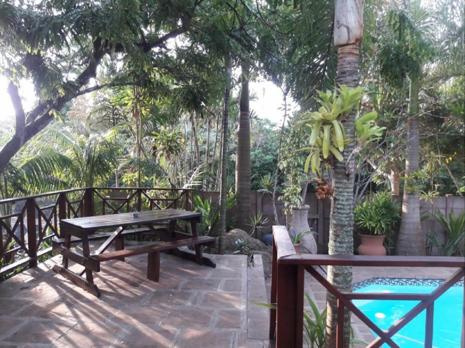 African Dreamz Guest House St Lucia Kwazulu Natal South Africa Unsaturated, Palm Tree, Plant, Nature, Wood, Garden