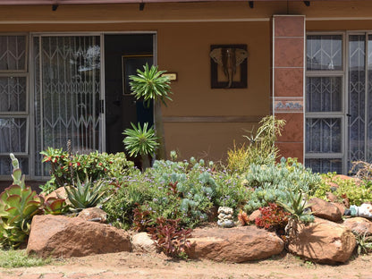 African Elephant Guest House Germiston Johannesburg Gauteng South Africa House, Building, Architecture, Plant, Nature