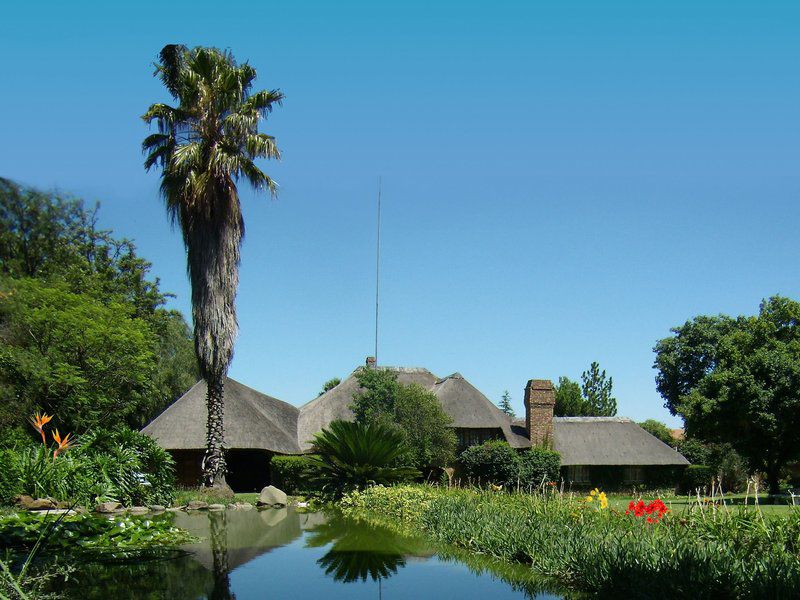 African Footprints Lodge Halfway House Johannesburg Gauteng South Africa Palm Tree, Plant, Nature, Wood