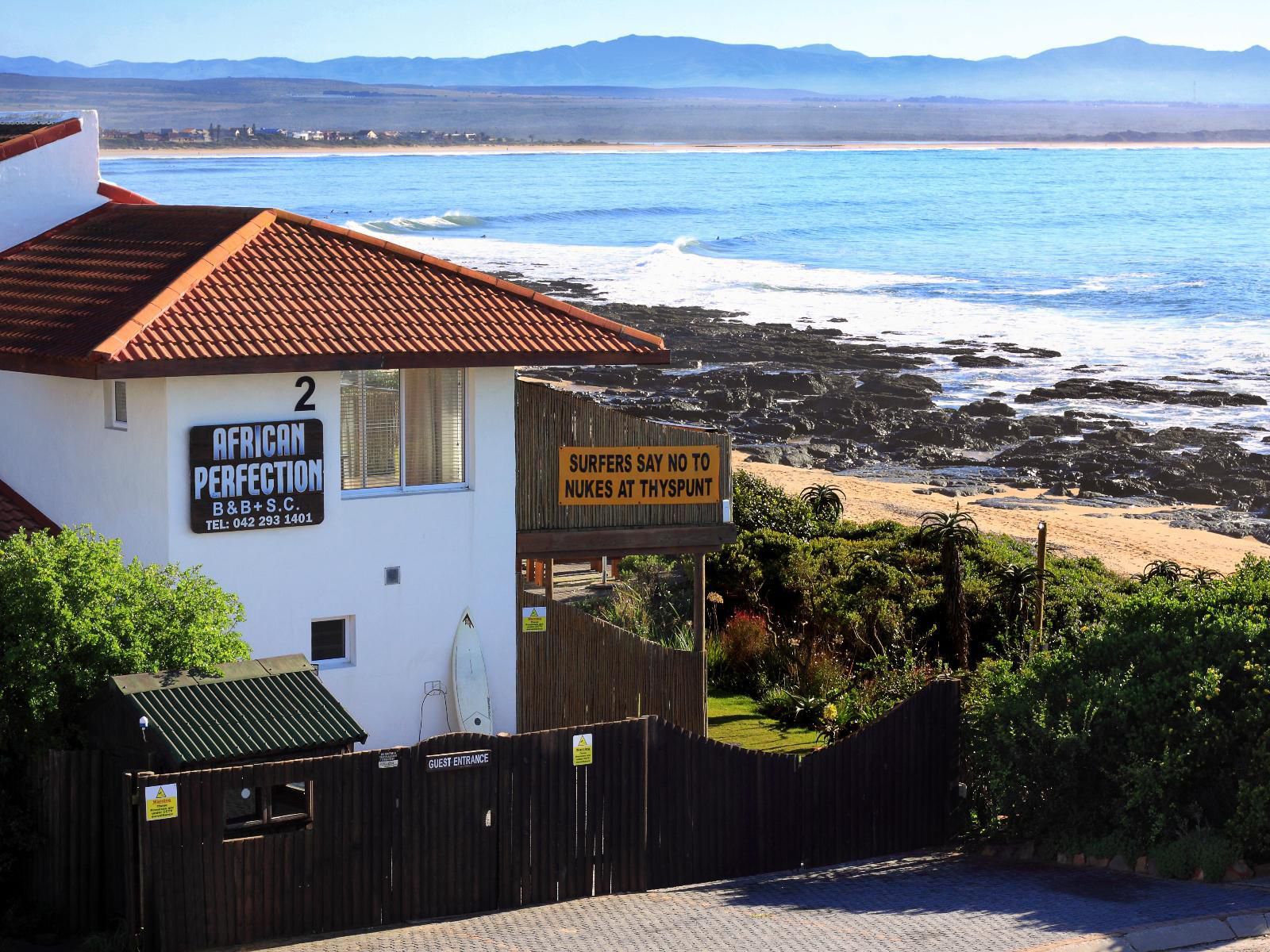 African Perfection Jeffreys Bay Eastern Cape South Africa Beach, Nature, Sand, Palm Tree, Plant, Wood