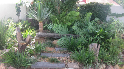 African Sands Guesthouse Humewood Port Elizabeth Eastern Cape South Africa Plant, Nature, Garden