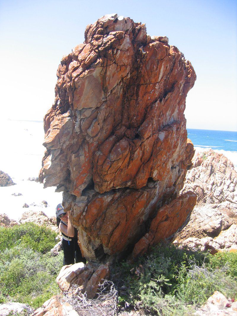 African Sea Breeze Plettenberg Bay Western Cape South Africa Cliff, Nature