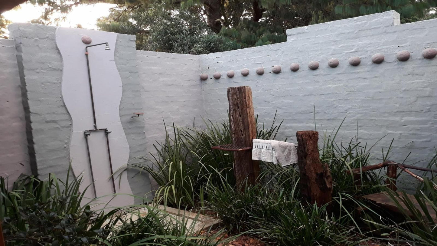 African Silhouette Guesthouse Kempton Park Johannesburg Gauteng South Africa Unsaturated, Plant, Nature, Garden