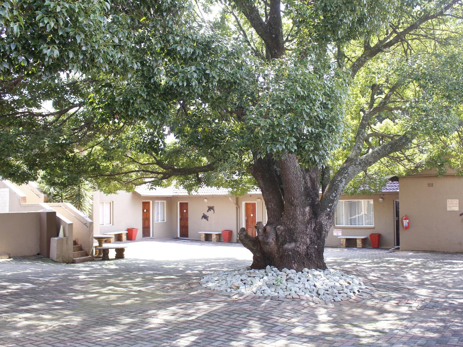 African Sky Guest House Krugersdorp Gauteng South Africa House, Building, Architecture, Tree, Plant, Nature, Wood