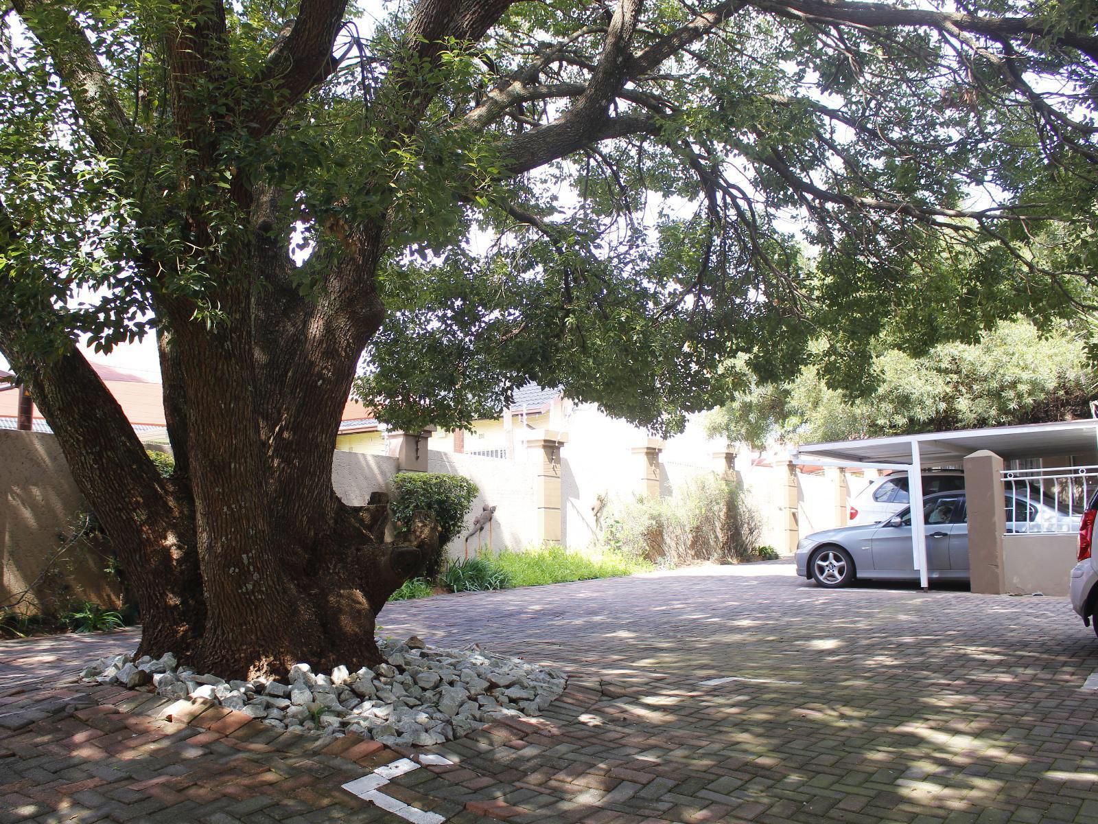 African Sky Guest House Krugersdorp Gauteng South Africa Plant, Nature, Tree, Wood, Street, Car, Vehicle