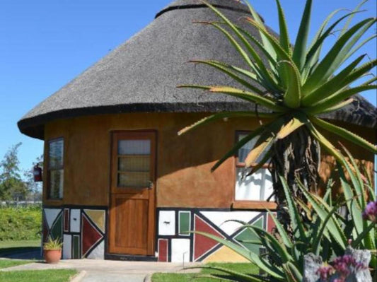 African Sun Guest House Blanco George Western Cape South Africa Complementary Colors, Building, Architecture, House, Palm Tree, Plant, Nature, Wood